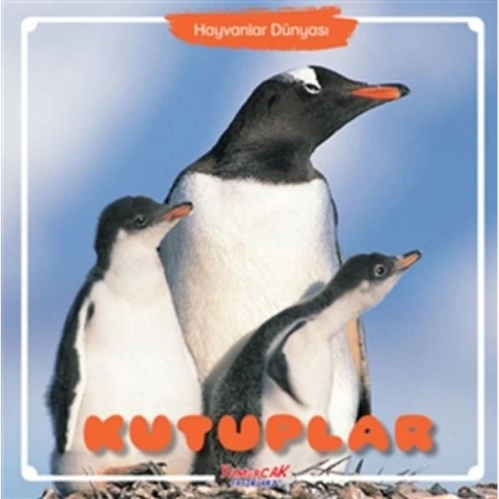 Kutuplar - Hayvanlar Dünyası