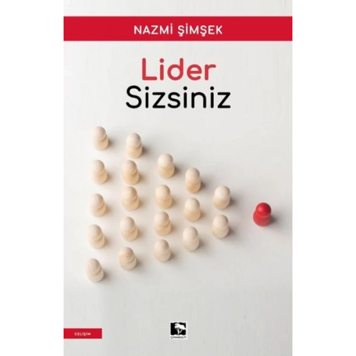 Lider Sizsiniz