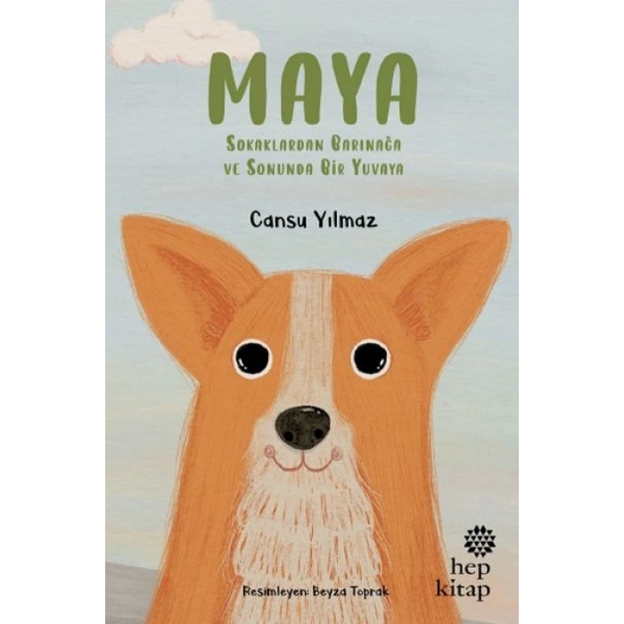 Maya - Sokaklardan Barınağa ve Sonunda Bir Yuvaya