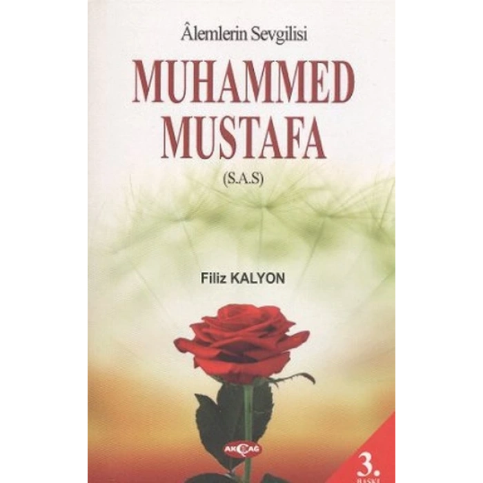 Mevlana ve Mesnevi Gerçeği