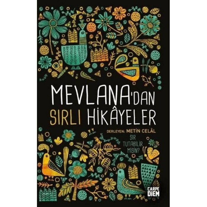 Mevlanadan Sırlı Hikayeler
