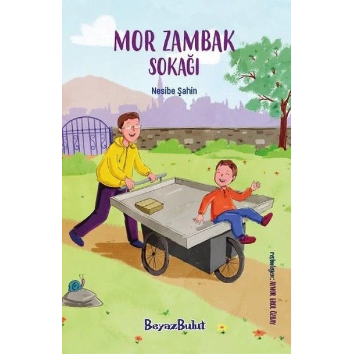 Mor Zambak Sokağı