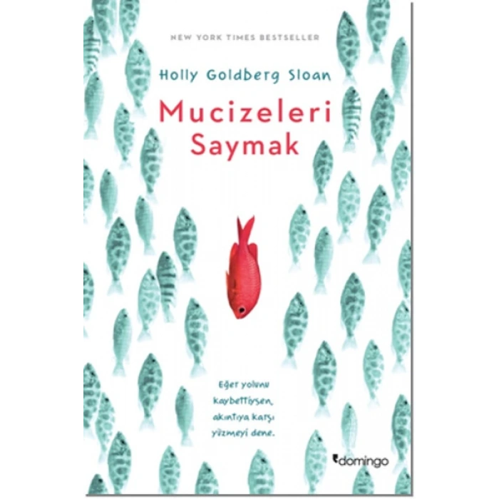 Mucizeleri Saymak