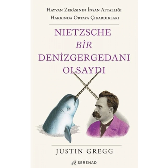 Nietzsche Bir Denizgergedanı Olsaydı