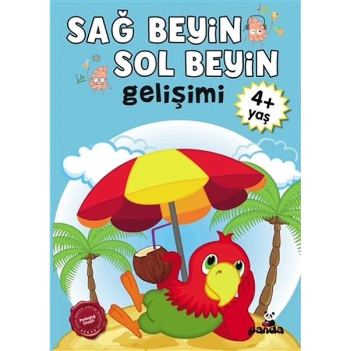 Sağ Beyin-Sol Beyin Gelişimi 4+ Yaş    