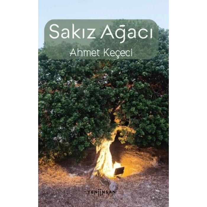 Sakız Ağacı