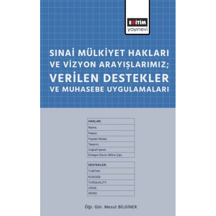 Sınai Mülkiyet Hakları ve Vizyon Arayışlarımız; Verilen Destekler ve Muhasebe Uygulamaları