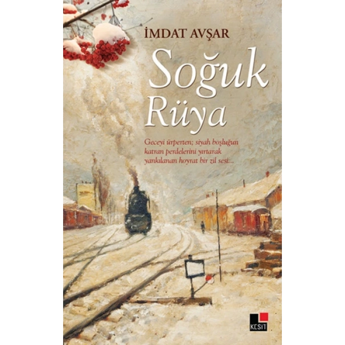 Soğuk Rüya