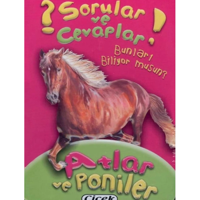 Sorular Ve Cevaplar Kart Atlar Ve Poniler