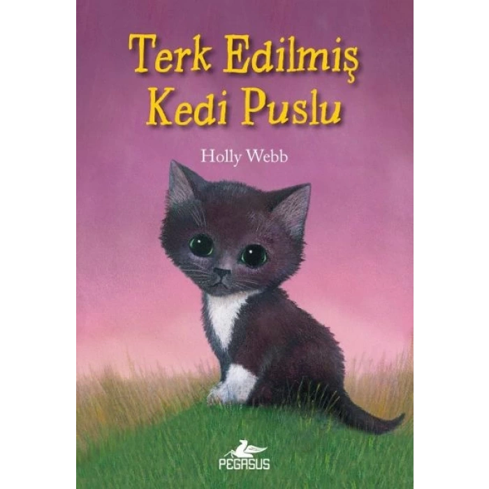 Terk Edilmiş Kedi Puslu