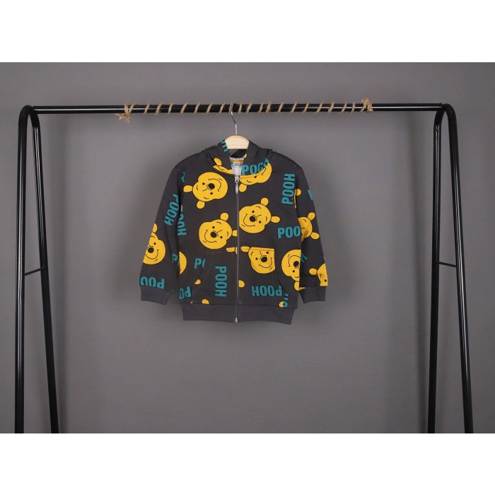 Unisex Çocuk Winnie ve Pooh Baskılı Füme Renk Mevsimlik Kapüşonlu Hırka
