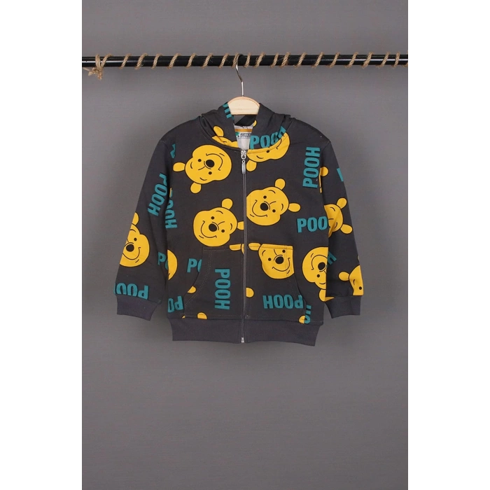 Unisex Çocuk Winnie ve Pooh Baskılı Füme Renk Mevsimlik Kapüşonlu Hırka
