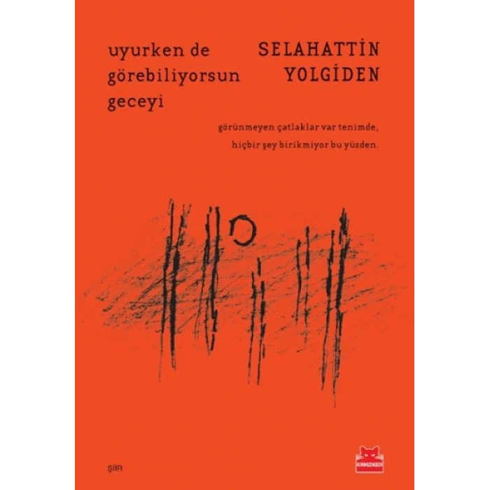 Uyurken de Görebiliyorsun Geceyi