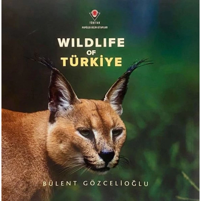 Wıldlıfe Of Türkiye