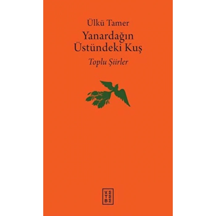 Yanardağın Üstündeki Kuş