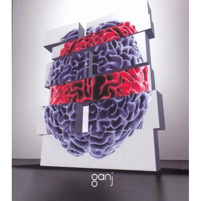 Yaşam Üzerine Yorumlamalar Cilt 2