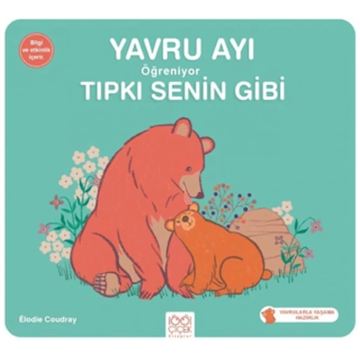 Yavru Ayı Öğreniyor Tıpkı Senin Gibi