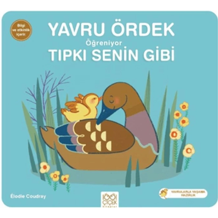 Yavru Ördek Öğreniyor Tıpkı Senin Gibi