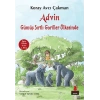 Advin Gümüş Sırtlı Goriller Ülkesinde