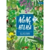Ağaç Atlası