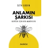 Anlamın Şarkısı