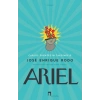 Ariel