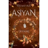 Aşiyan 2 - Divane (Ciltli)