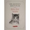Bir Kediden Mektuplar