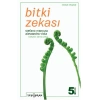 Bitki Zekası