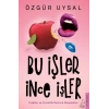 Bu İşler İnce İşler