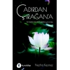 Çadırdan Çırağana - Bir Kadının Kendini Keşfetme Yolculuğu