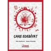 Çare Edebiyat
