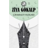 Çınaraltı Yazıları