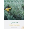 Çukur