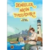 Denizler Niçin Tuzludur?