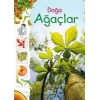 Doğa - Ağaçlar