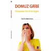 Domuz Gribi  Dünyadaki Yeni Grip Salgını