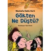 Gökten Ne Düştü?