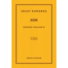 Günlük Yazılar 3 - Sur