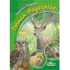 Hayvanları Tanıyorum Orman Hayvanları