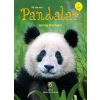 İlk Okuma - Pandalar