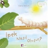 Oluşum Hikayeleri - İpek nasıl oluşur?