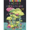 Keşfediyorum: Yağmur Ormanları