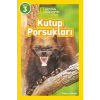 Kutup Porsukları - National Geographic Kids