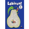 Labirent 5 Yaş