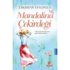 Mandalina Çekirdeği