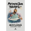 Mesneviden Hikayeler