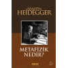 Metafizik Nedir?