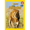 National Geographic Kids - Aslanlar