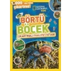 National Geographic Kids Börtü Böcek Çıkartmalı Faaliyet Kitabı
